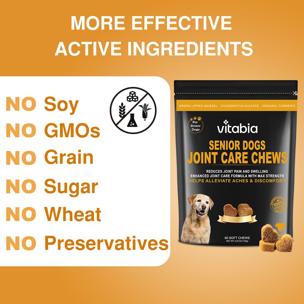 60 Senior Dog Joint Care | Dog Joint Supplements | Dog Treats (60 Count)