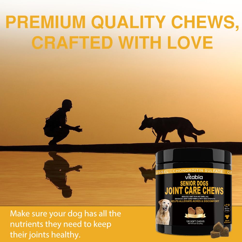 60 Senior Dog Joint Care | Dog Joint Supplements | Dog Treats (60 Count)