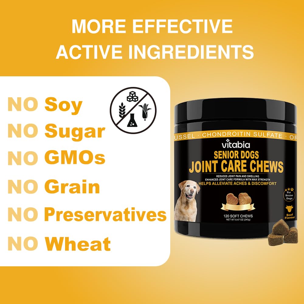 60 Senior Dog Joint Care | Dog Joint Supplements | Dog Treats (60 Count)