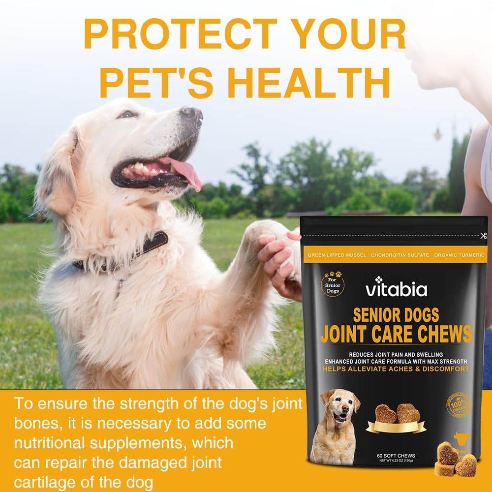 60 Senior Dog Joint Care | Dog Joint Supplements | Dog Treats (60 Count)