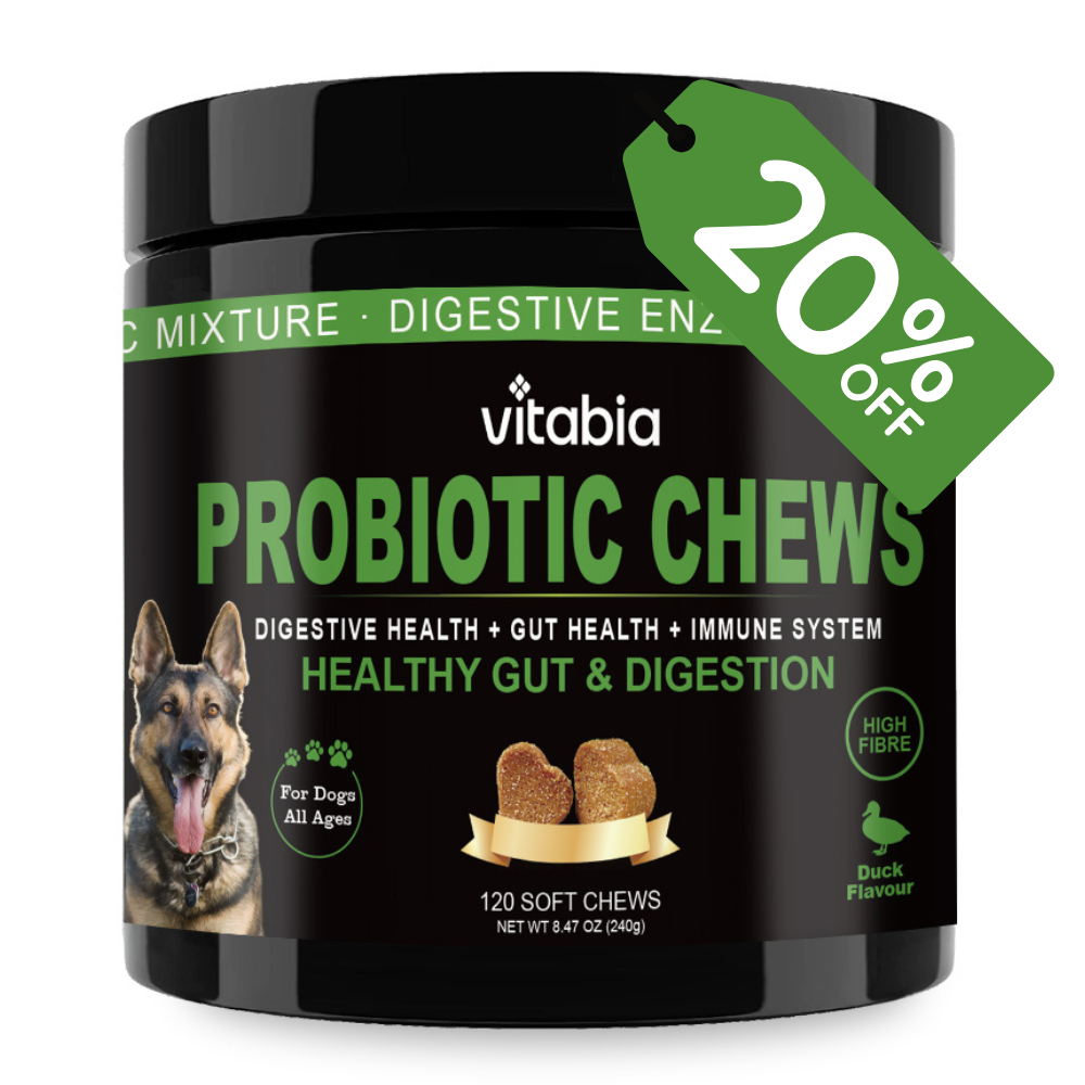 120 Natural Probiotics for Dogs - Pro Fibre Chews with Pumpkin & Psyllium Husk, 12 Probiotic Strains, Anal Gland & Gut Health Support, No Scoot Chews, 100% Organic, Natural Dog Treats (120 Chews)